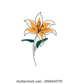 La flor de lirio se dibuja con una sola línea. Arte lineal. Dibujo continuo de flores. Aislado sobre un fondo blanco con figuras abstractas de colores. Vector.