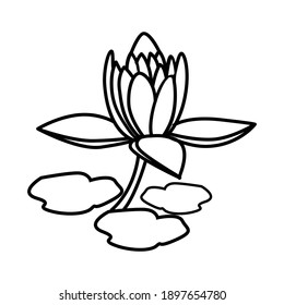 Lily Flower Floral Hand Drawn. Vector Design Illustration Sign Logo.