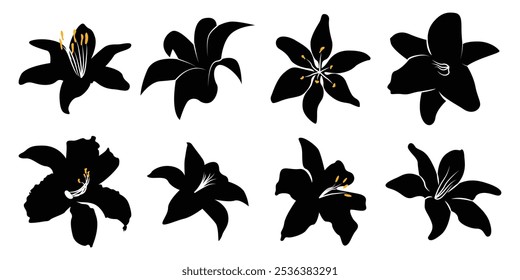 Lily flower floral vector silhouette illustration icon set.