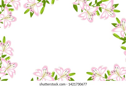 Lily flower frame decoration isolated
