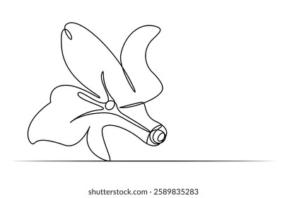 lily flower in full bloom continuous one line drawing