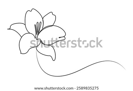 lily flower in full bloom continuous one line drawing