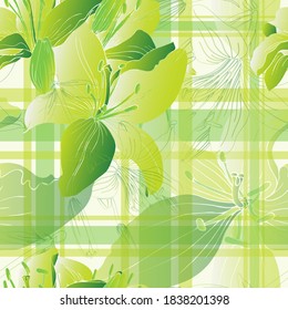 Lily flower. Garden plant Lily. Seamless vector pattern with flowers. Hand drawing.