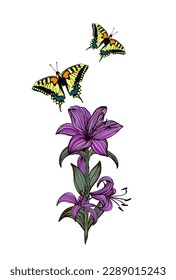Gráfico de flores de Lily con mariposa. Ilustración del vector