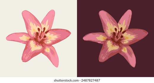 Lily flower head. Single isolated illustration. Image tracing, cleaned and simplified illustration. Realistic style. Not AI.