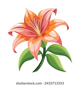 Lily Flower Illustration on White Background