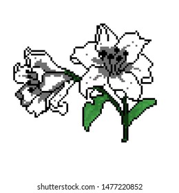 Lily Flower Illustration Pixel art style. EPS 10