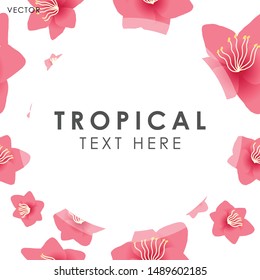 Lily flower isolate frame, Vector illustration design element