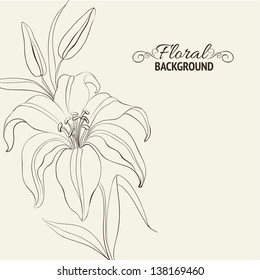 Lily flower isolated over white. Vector illustration