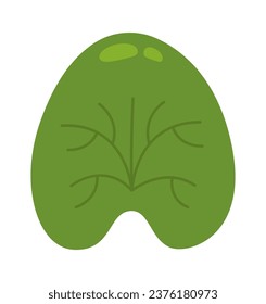 Lily Flower Leaf Vector Illustration