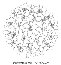 lily flower and lilium flower coloring page outline decorative line art vector graphics.floral design sketch drawing of black and white color on isolated background.