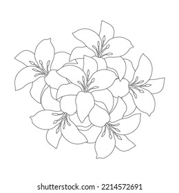 lily flower and lilium flower coloring page outline decorative line art vector graphics.floral design sketch drawing of black and white color on isolated background.