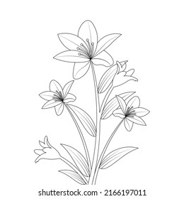 lily flower line art drawing of continuous pencil artwork for kid coloring page of printing element