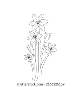 lily flower line art drawing of continuous pencil artwork for kid coloring page of printing element