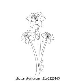 lily flower line art drawing of continuous pencil artwork for kid coloring page of printing element