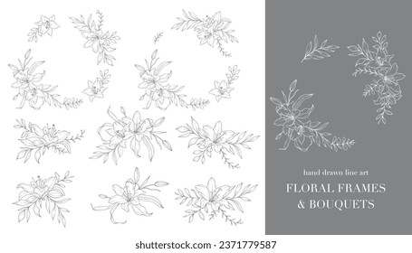 Lilie Flower Line Art. Blumenrahmen und Bouquets Line Art. Feine Linie Lilies Frames handgezeichnete Illustration. Rahmenblätter und Blumen. Botanische Farbseite. Rahmenlilie einzeln auf Weiß