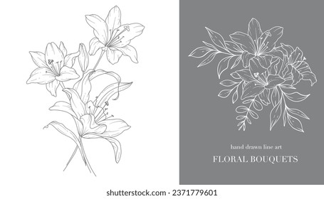 Lily Flower Line Art. Lilies Bouquets Line Art. Fine Line Lilies Arrangements Hand Drawn Illustration. Outline Leaves and Flowers. Botanical Coloring Page. Outline Lily Isolated on White