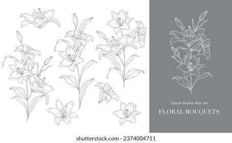 Lilies Bouquets Line Art. Feine Linie Lilies Arrangements Handgezeichnete Illustration. Rahmenblätter und Blumen. Botanische Farbseite. Rahmenlilie einzeln auf Weiß