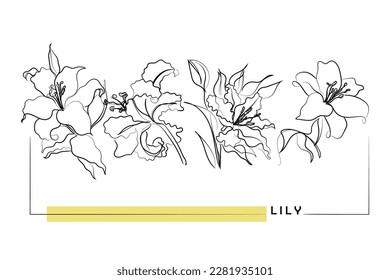Lily flower line art vector. Abstract sketch of lilies.