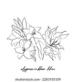Lily flower line art vector. Abstract sketch of lilies.