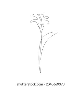 Lily flower line drawing vector illustration