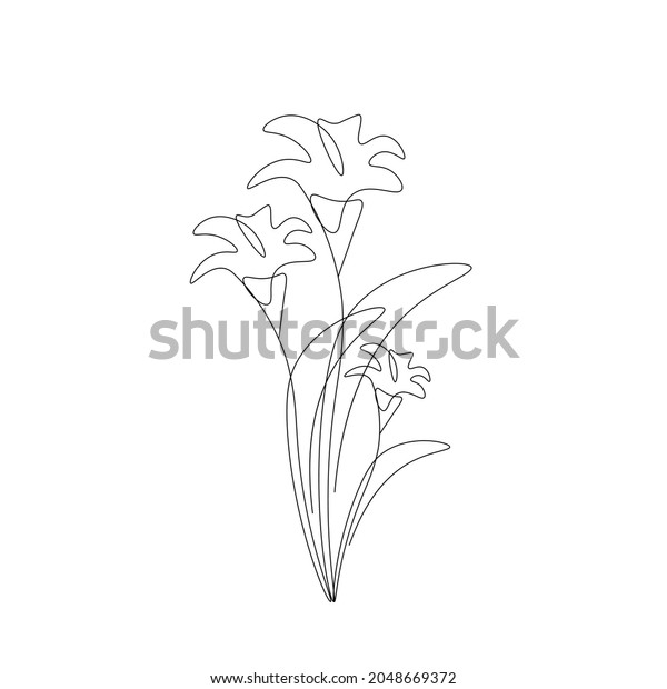 Lily Flower Line Drawing Vector Illustration Stock Vector (Royalty Free ...