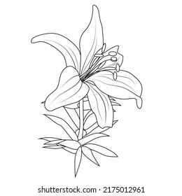 Lily flower for logo. Fashionable botanical elements. A hand-drawn line leaves branches and blooms. Wedding flower for an invitation save a postcard with the date. Vector