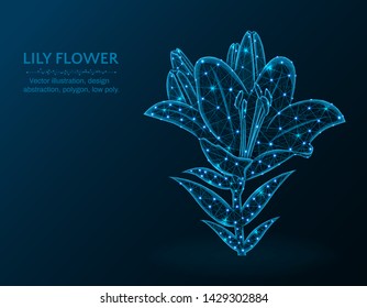 Lily flower low poly design, garden bulbous plant abstract geometric image, blossom wireframe mesh polygonal vector illustration made from points and lines on dark blue background