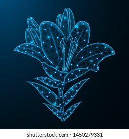 Lily flower low poly design, garden bulbous plant abstract geometric image, blossom wireframe mesh polygonal vector illustration made from points and lines on dark blue background