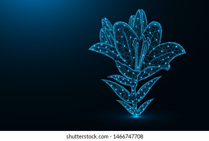 Lily flower low poly design, garden bulbous plant abstract geometric image, blossom wireframe mesh polygonal vector illustration made from points and lines on dark blue background