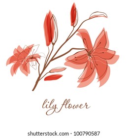 Lily flower on white background. Vector background for your design