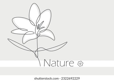 Lily flower in one line doodle style, minimalism, floral mood.