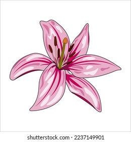 Lily flower. An open bud. Isolated on a white background. vector illustration.