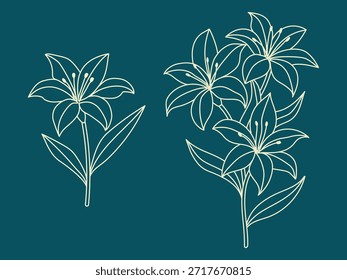 Lily flor esboço desenho vetor ilustração elemento. expressando beleza, fragrância, moda e bem-estar.