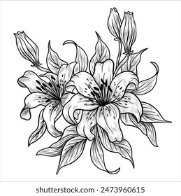 Lily flower outlines. Monochrome black and white bouquet lily isolated on white background. Hand drawn design greeting card and invitation of the wedding, birthday, Valentines Day, mother day.