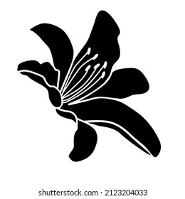 Lily flower pattern, black logo
