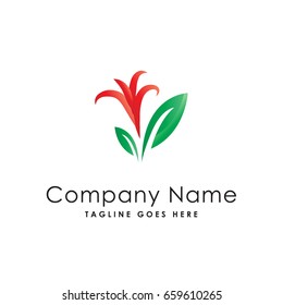lily flower plant nature logo template