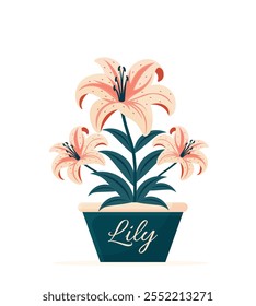 lily flower in pot flat illustration isolated on white background