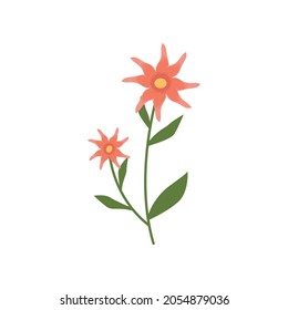 lily flower printable decor vector illustration design eps.10