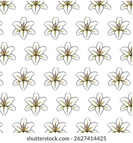 Lily flower Seamless Pattern Hand drawn vector line art, Black and yellow Flower isolated in white.  Beautiful design for textile, wallpaper, wrapping paper and backgrounds