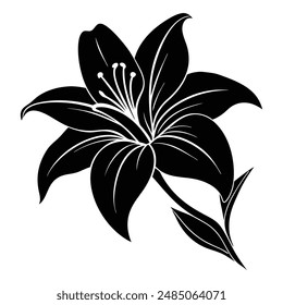 Lily Flower Silhouette in Elegant Design