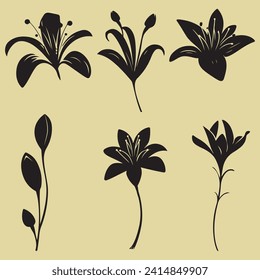 lily flower silhouette, lily flower outline vector drawing