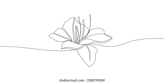 lily flower in single continuous line drawing style for logo or emblem. Modern simple vector illustration