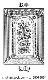 Lily flower. Tarot card from vector Lenormand Gothic Mysteries oracle deck. Black and white engraved illustration. Fantasy and mystic line art drawing. Gothic, occult and esoteric background