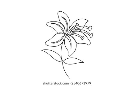 Lily flower vector, continuous line drawing of lily flower. Line art lily flower isolated on white background. sketch hand-drawn Designs for invitations, weddings, wallpaper, print templates.