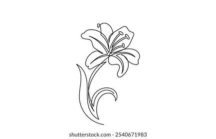 Lily flower vector, continuous line drawing of lily flower. Line art lily flower isolated on white background. sketch hand-drawn Designs for invitations, weddings, wallpaper, print templates.