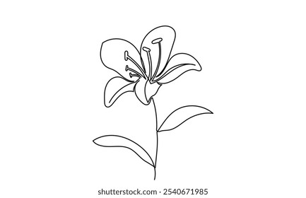 Lily flower vector, continuous line drawing of lily flower. Line art lily flower isolated on white background. sketch hand-drawn Designs for invitations, weddings, wallpaper, print templates.