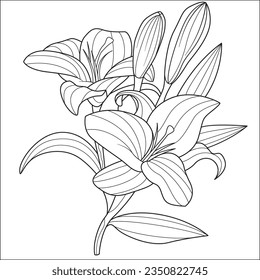 Blumenvektor-Farbbuch