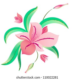 Lily flower. Vector. eps 8