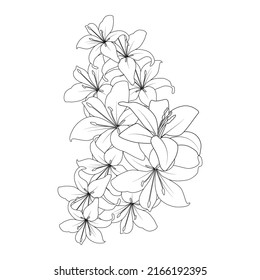 diseño de líneas gráficas vectoriales de flores lily para la ilustración de la página del libro de colores